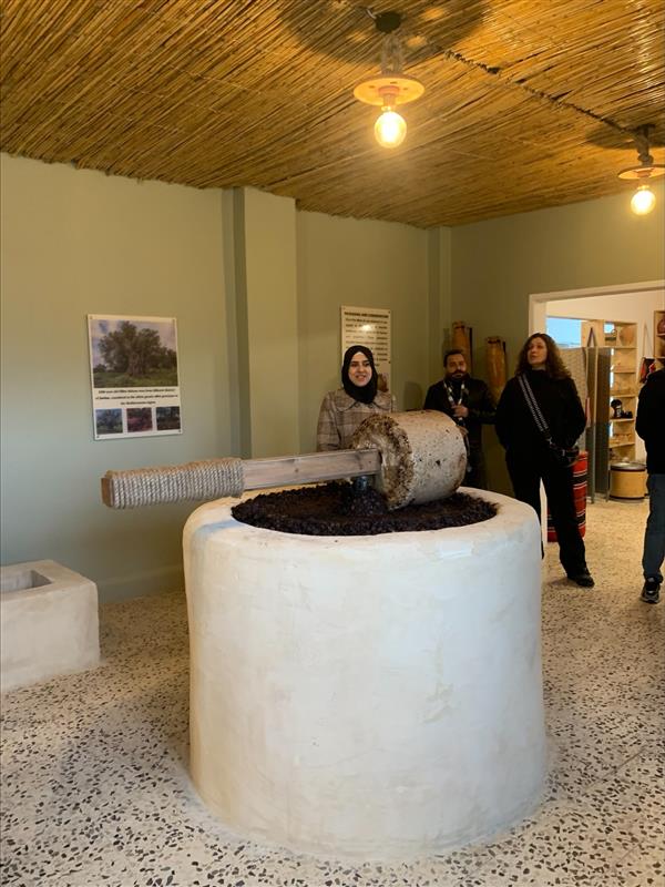 Olive Oil Tasting in Jordan